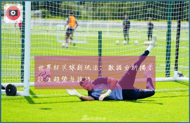 世界杯买球新玩法：数据分析揭示投注趋势与技巧