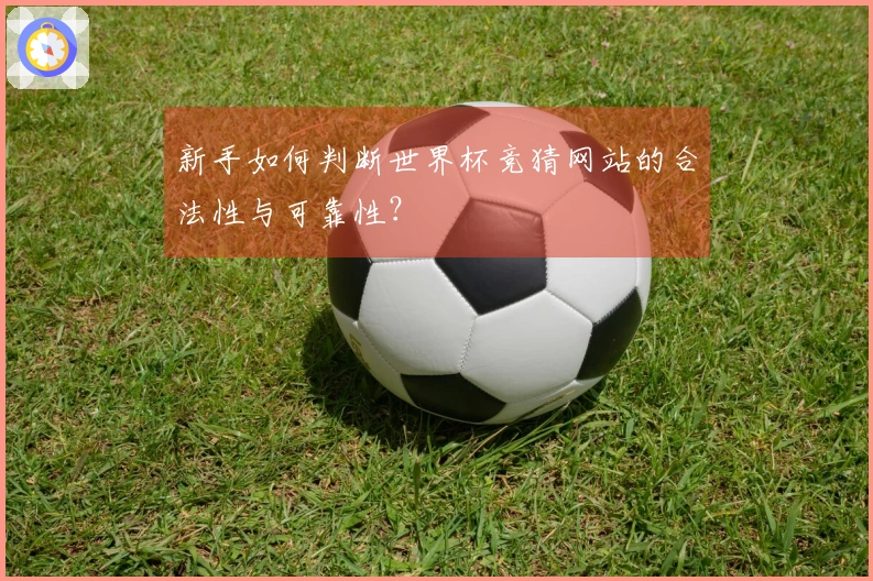 新手如何判断世界杯竞猜网站的合法性与可靠性？