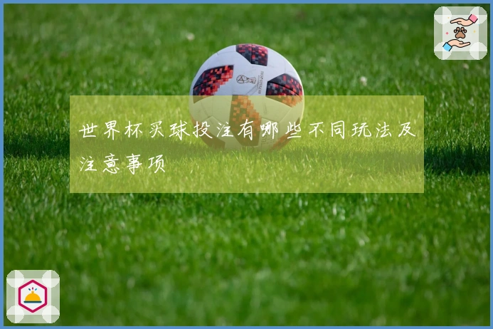 世界杯买球投注有哪些不同玩法及注意事项