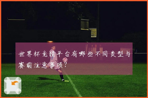 世界杯竞猜平台有哪些不同类型与赛前注意事项？