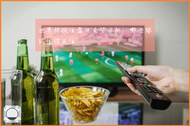 世界杯投注盘口走势分析，哪些球队值得关注